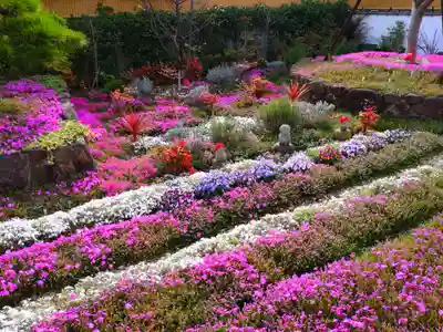 寿量山 速成寺(奈良県)