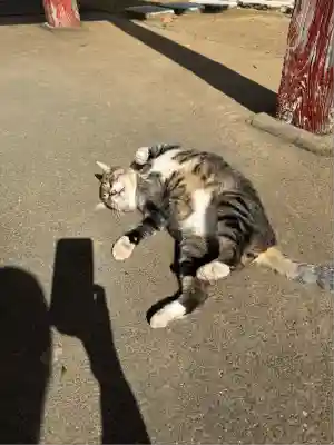 万徳寺(群馬県)