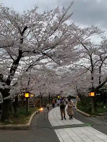 高麗神社の周辺