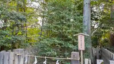 鶴岡八幡宮(神奈川県)