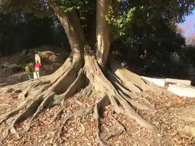 縁華山 有縁寺(三重県)