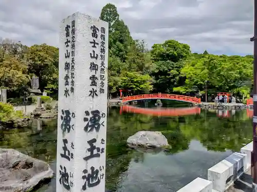 富士山本宮浅間大社の自然