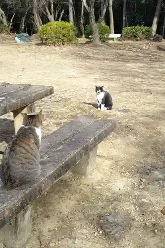 玉野御嶽神社の動物