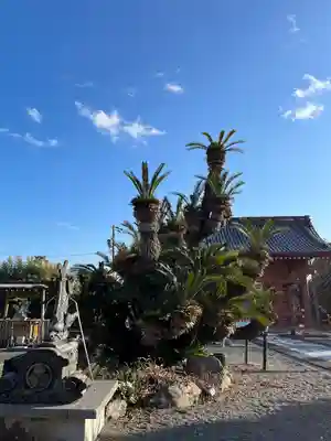 應声教院の自然