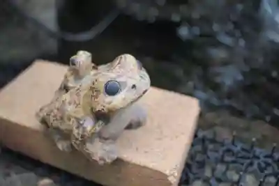 法輪寺のその他建物