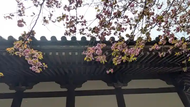宝積寺(京都府)