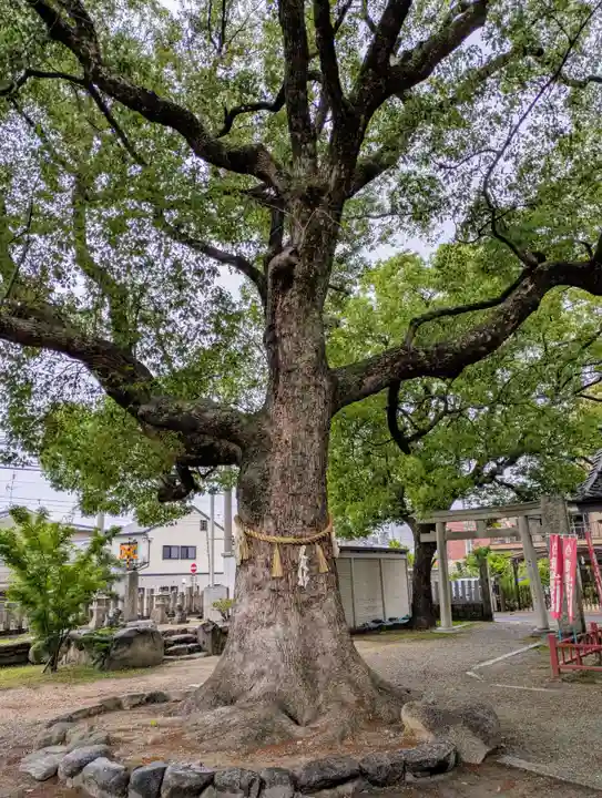 止止呂支比売命神社(大阪府)