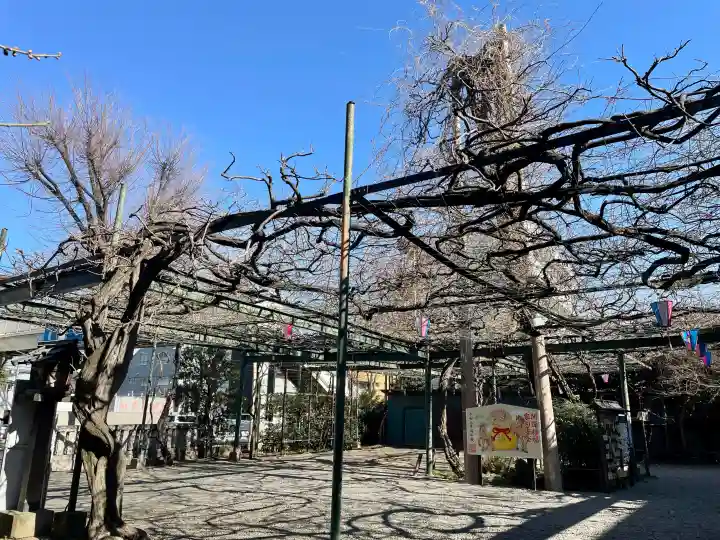 國領神社の{uncategorized: "未分類", other: "その他", undefined: "問題あり", building: "その他建物", grave: "お墓", sacred_gate: "鳥居", guardian: "狛犬", statue: "像", buddha: "仏像", history: "歴史", nature: "自然", garden: "庭園", animal: "動物", pagoda: "塔", temizu: "手水舎", mountain_gate: "山門・神門", sanctuary: "本殿・本堂", subordinate: "末社・摂社", art: "芸術", scenery: "景色", jizo: "地蔵", ema: "絵馬", goshuin: "御朱印", omikuji: "おみくじ", items: "授与品その他", amulet: "お守り", goshuincho: "御朱印帳", eats: "食事", festival: "お祭り", votive_dance: "神楽", shichigosan: "七五三参", wedding: "結婚式", experience: "体験その他", initially: "初詣", around: "周辺", anti_infection: "感染症対策"}