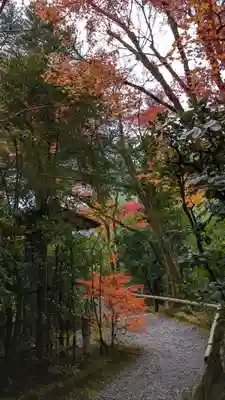 光悦寺(京都府)