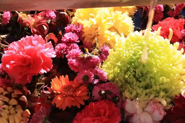 豊景神社の手水舎