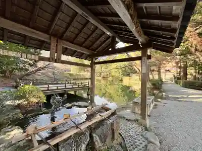 高鴨神社(奈良県)