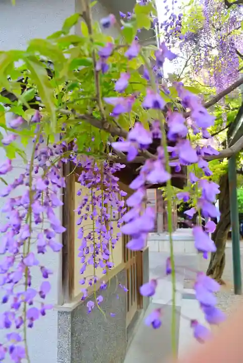 國領神社の自然