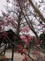 賀羅加波神社の自然