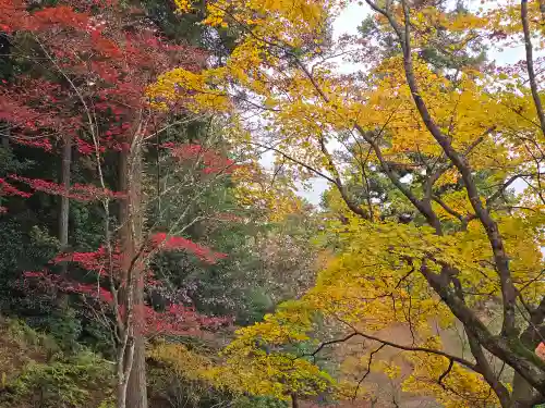 高源寺(兵庫県)