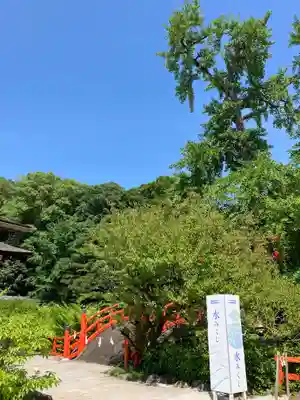 賀茂御祖神社（下鴨神社）(京都府)