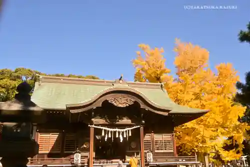 葛飾八幡宮の本殿・本堂
