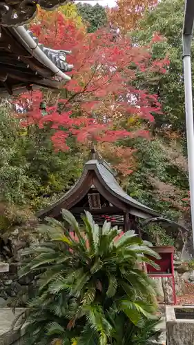 三明院(京都府)