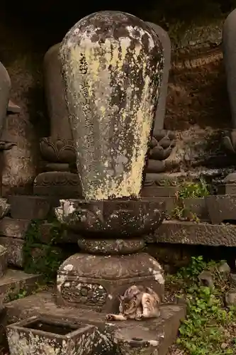 釋尊寺(長野県)