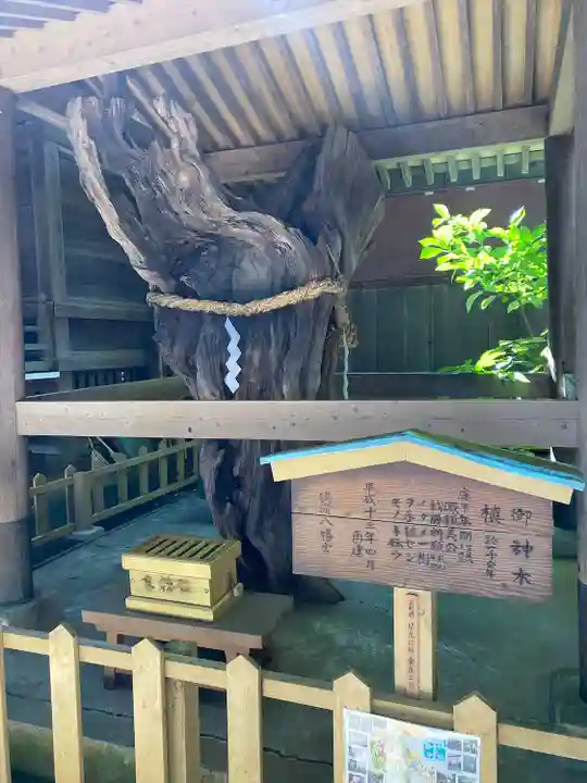 鶴嶺八幡宮(神奈川県)