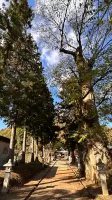 八阪神社(滋賀県)