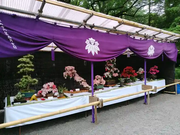 大宮八幡宮の{uncategorized: "未分類", other: "その他", undefined: "問題あり", building: "その他建物", grave: "お墓", sacred_gate: "鳥居", guardian: "狛犬", statue: "像", buddha: "仏像", history: "歴史", nature: "自然", garden: "庭園", animal: "動物", pagoda: "塔", temizu: "手水舎", mountain_gate: "山門・神門", sanctuary: "本殿・本堂", subordinate: "末社・摂社", art: "芸術", scenery: "景色", jizo: "地蔵", ema: "絵馬", goshuin: "御朱印", omikuji: "おみくじ", items: "授与品その他", amulet: "お守り", goshuincho: "御朱印帳", eats: "食事", festival: "お祭り", votive_dance: "神楽", shichigosan: "七五三参", wedding: "結婚式", experience: "体験その他", initially: "初詣", around: "周辺", anti_infection: "感染症対策"}