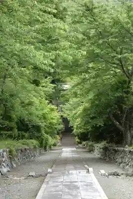 酒波寺の{uncategorized: "未分類", other: "その他", undefined: "問題あり", building: "その他建物", grave: "お墓", sacred_gate: "鳥居", guardian: "狛犬", statue: "像", buddha: "仏像", history: "歴史", nature: "自然", garden: "庭園", animal: "動物", pagoda: "塔", temizu: "手水舎", mountain_gate: "山門・神門", sanctuary: "本殿・本堂", subordinate: "末社・摂社", art: "芸術", scenery: "景色", jizo: "地蔵", ema: "絵馬", goshuin: "御朱印", omikuji: "おみくじ", items: "授与品その他", amulet: "お守り", goshuincho: "御朱印帳", eats: "食事", festival: "お祭り", votive_dance: "神楽", shichigosan: "七五三参", wedding: "結婚式", experience: "体験その他", initially: "初詣", around: "周辺", anti_infection: "感染症対策"}