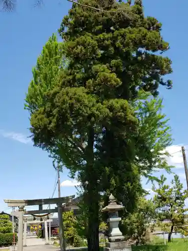 八幡宮の建物その他