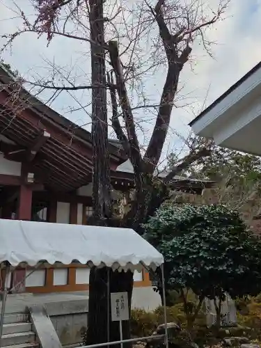 多田神社(兵庫県)