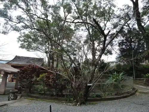 高千穂神社(鹿児島県)
