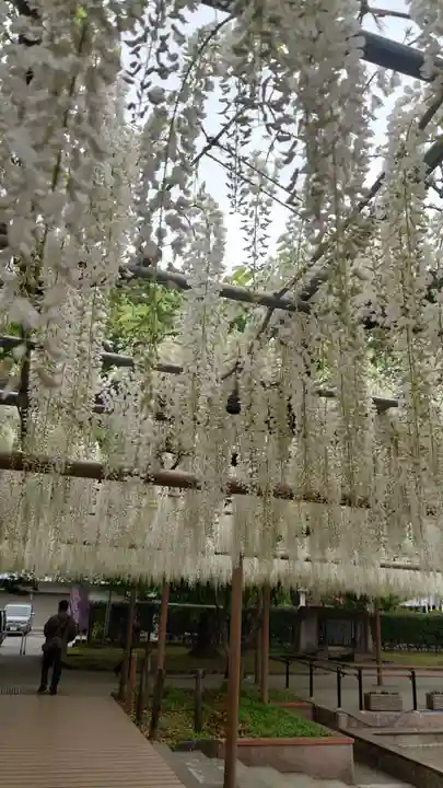 曼陀羅寺の庭園