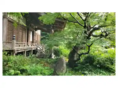 妙法寺の御朱印