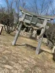 昭和神社の鳥居