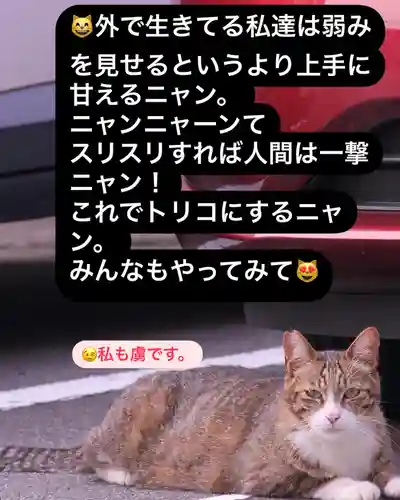 専念寺(大阪府)