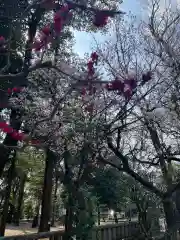 布多天神社の自然