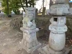 鷲神社の狛犬