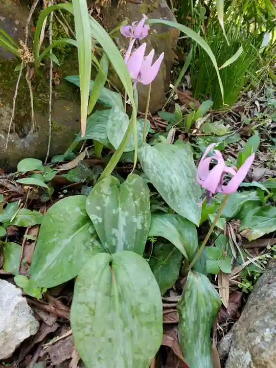 田村大元神社(福島県)