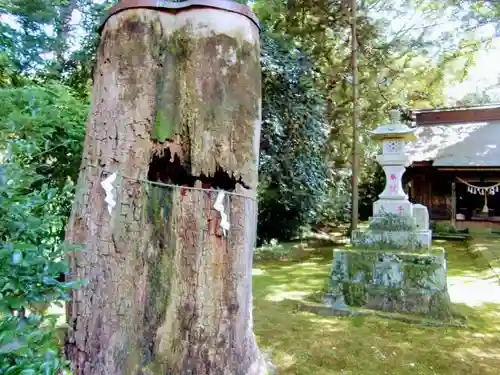 子安神社のその他建物