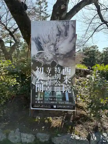 西来院の{uncategorized: "未分類", other: "その他", undefined: "問題あり", building: "その他建物", grave: "お墓", sacred_gate: "鳥居", guardian: "狛犬", statue: "像", buddha: "仏像", history: "歴史", nature: "自然", garden: "庭園", animal: "動物", pagoda: "塔", temizu: "手水舎", mountain_gate: "山門・神門", sanctuary: "本殿・本堂", subordinate: "末社・摂社", art: "芸術", scenery: "景色", jizo: "地蔵", ema: "絵馬", goshuin: "御朱印", omikuji: "おみくじ", items: "授与品その他", amulet: "お守り", goshuincho: "御朱印帳", eats: "食事", festival: "お祭り", votive_dance: "神楽", shichigosan: "七五三参", wedding: "結婚式", experience: "体験その他", initially: "初詣", around: "周辺", anti_infection: "感染症対策"}