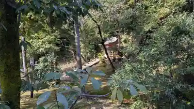 鹿苑寺（金閣寺）(京都府)