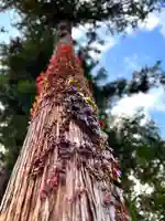 古町豊受大神宮(長野県)