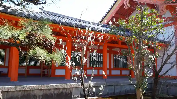 蓮華王院(三十三間堂)(京都府)