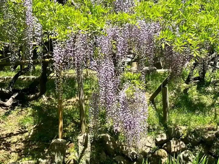 歌泉堂(春日大社神苑萬葉植物園内鎮座)(奈良県)