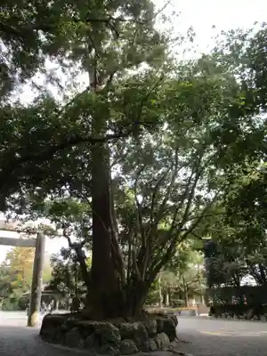 伊勢神宮外宮（豊受大神宮）(三重県)