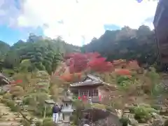 達身寺の建物その他