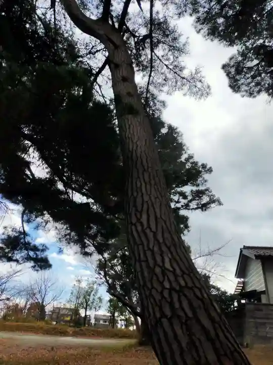 宇倍神社の自然