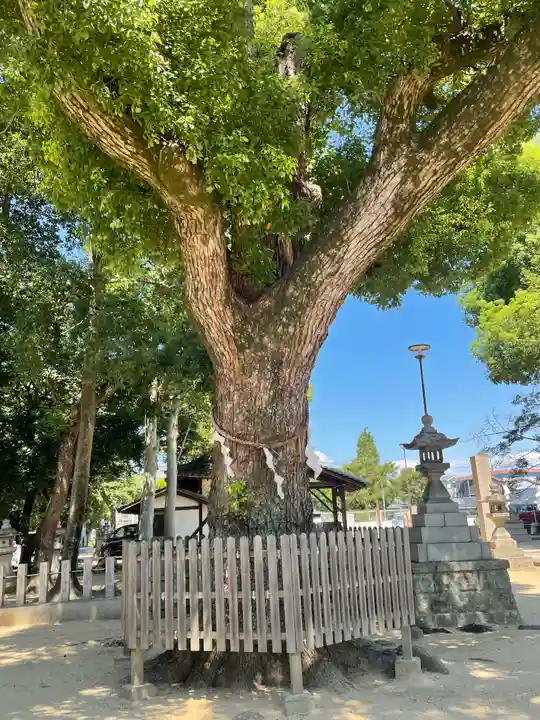大依羅神社の自然