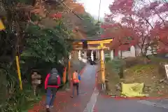 愛宕神社の鳥居