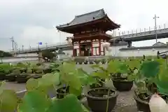 喜光寺(奈良県)