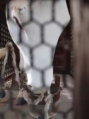 八坂神社(新潟県)