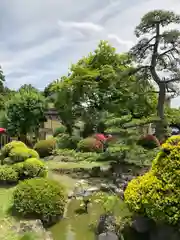 林泉寺(埼玉県)